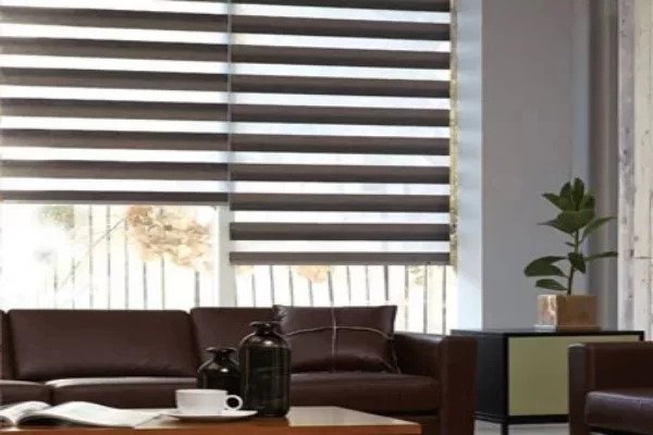 Things To Know Before Buying Zebra Blinds In Calgary