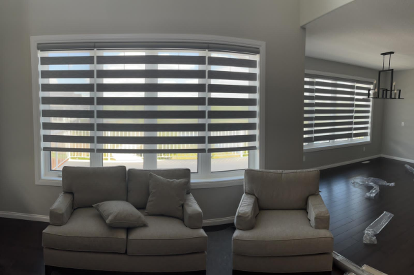 Zebra blinds in Calgary