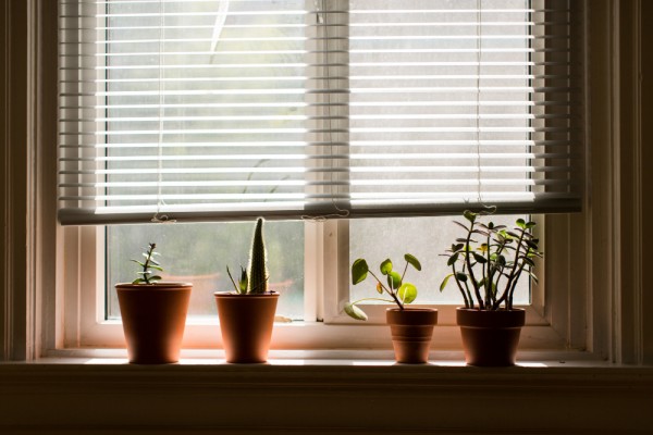 Stay Cool In The Summer Heat With Cellular Blinds