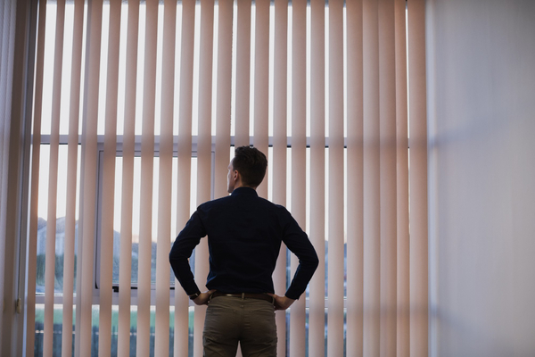 Zebra Blinds