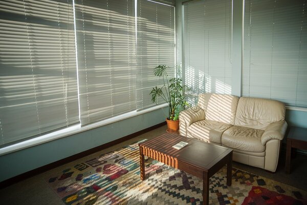 What Kind of Window Blinds in Surrey Let in the Most Light?