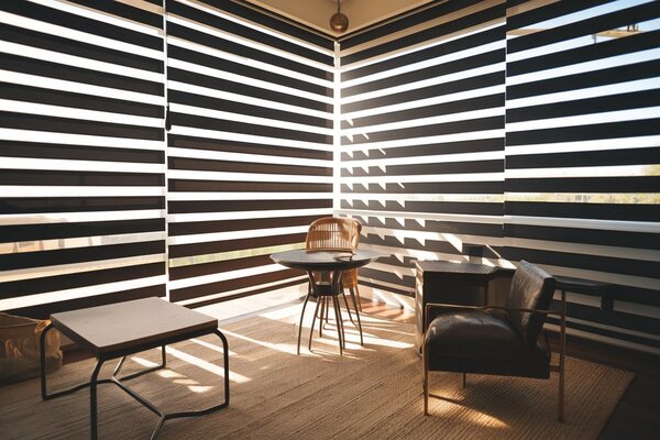 Zebra Blinds